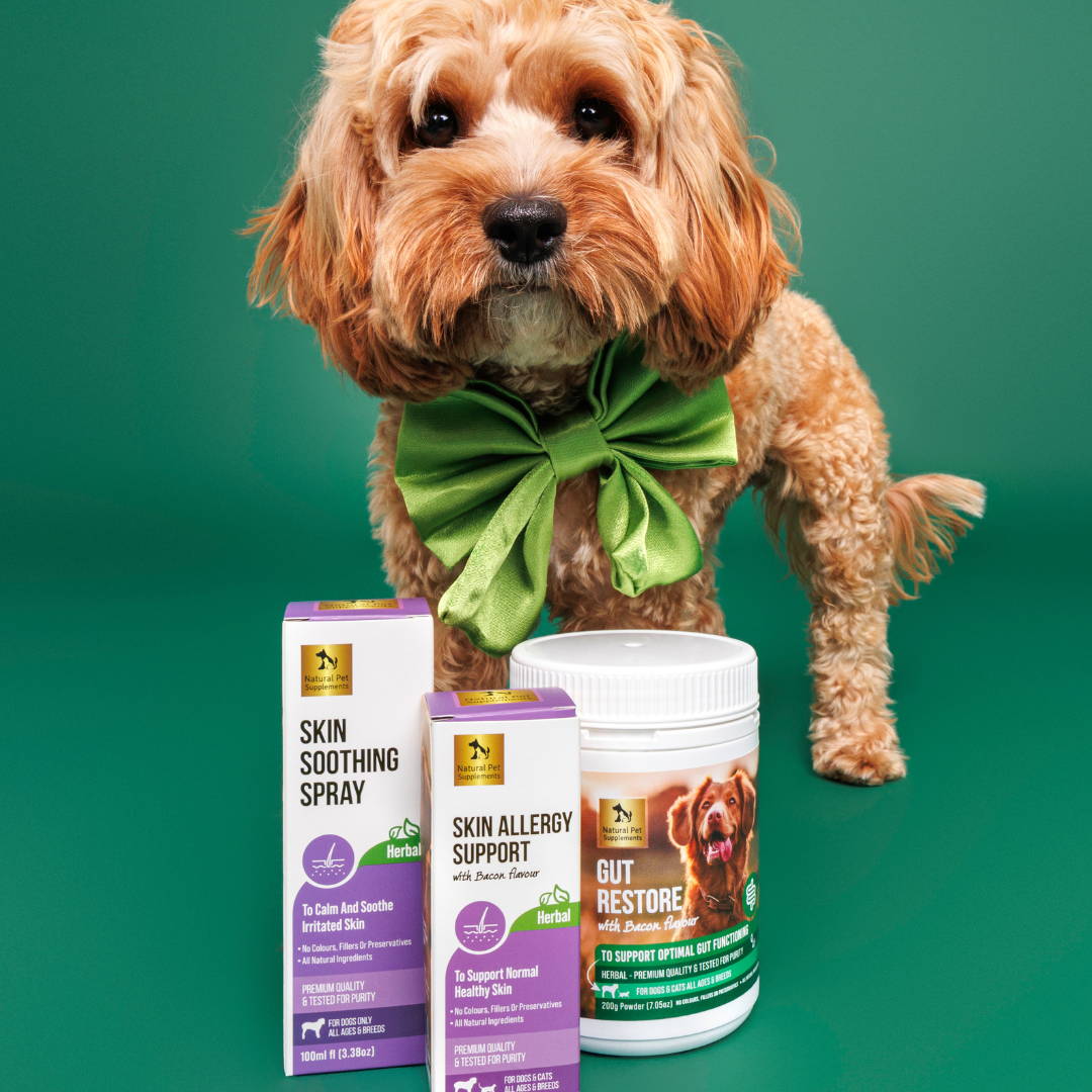 Best supplement for dog skin allergies 2025